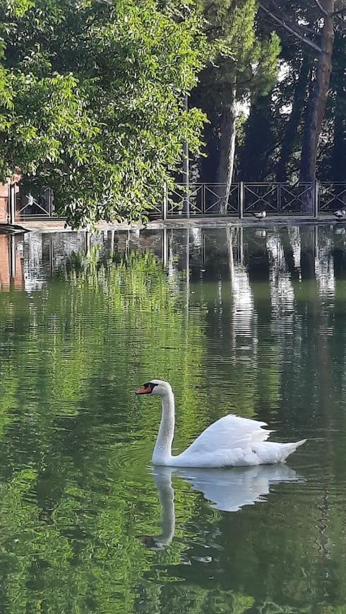 Aromas Del Jiloca, La Trufa Negra Apartman Calamocha Kültér fotó