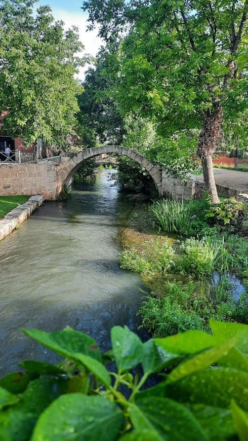 Aromas Del Jiloca, La Trufa Negra Apartman Calamocha Kültér fotó